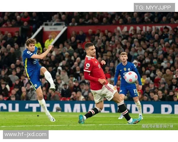 布莱顿与狼队英超对决前瞻分析及比赛预测