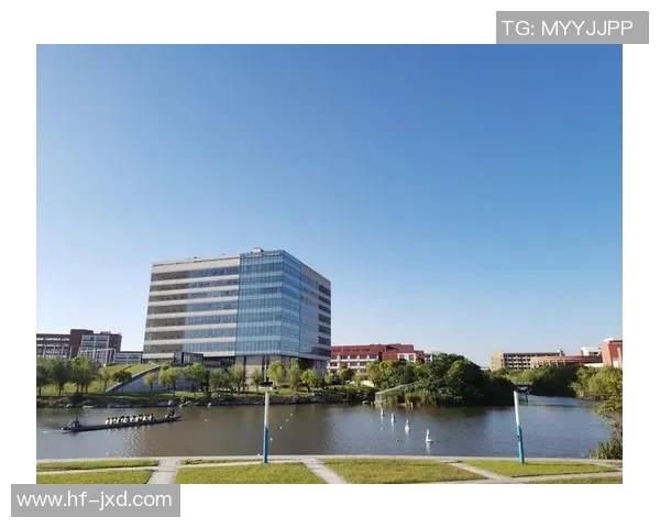 飞盘与梦想交织的旅程:吴敏的深度对话与人生启示MBA 飞盘与梦想交织的旅程:吴敏的深度对话与人生启示MBA