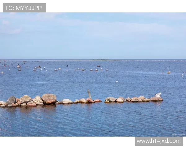 探索阿拉巴的魅力与文化遗产,揭示这片土地的独特风情与历史故事