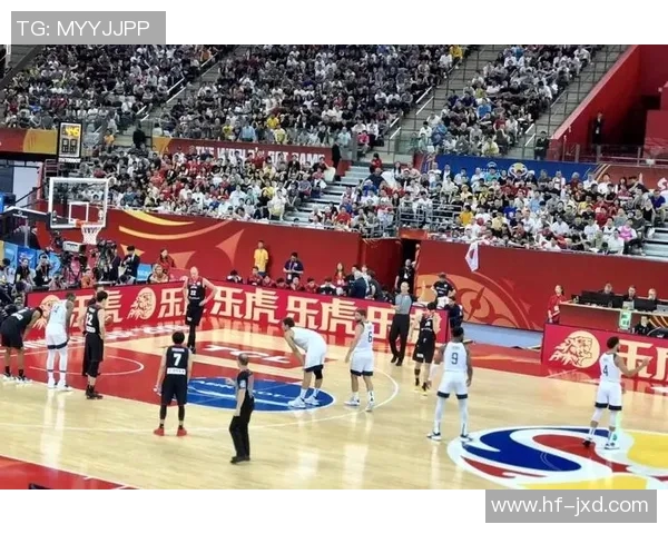 篮球台明星的崛起与荣耀背后那些不为人知的故事与奋斗历程